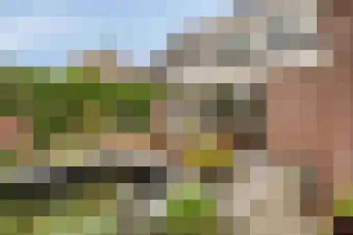 Manusveert 110 Tuitjenhorn thumbnail 48