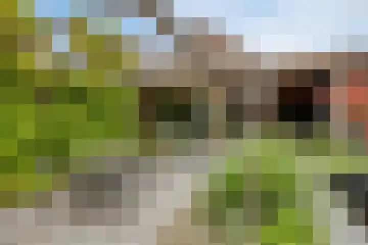 Manusveert 110 Tuitjenhorn thumbnail 49