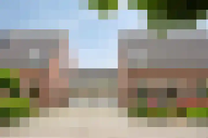 Manusveert 110 Tuitjenhorn thumbnail 5