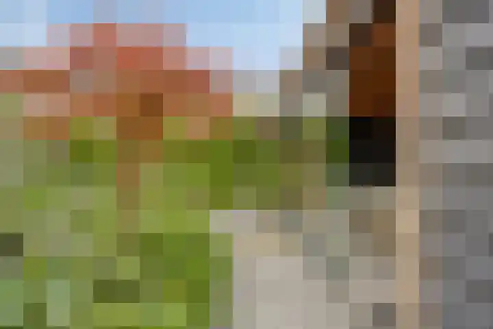Manusveert 110 Tuitjenhorn thumbnail 50