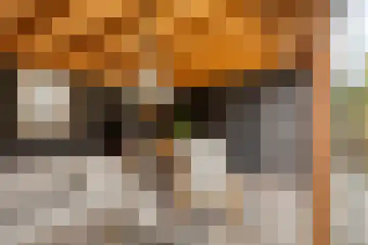 Manusveert 110 Tuitjenhorn thumbnail 51