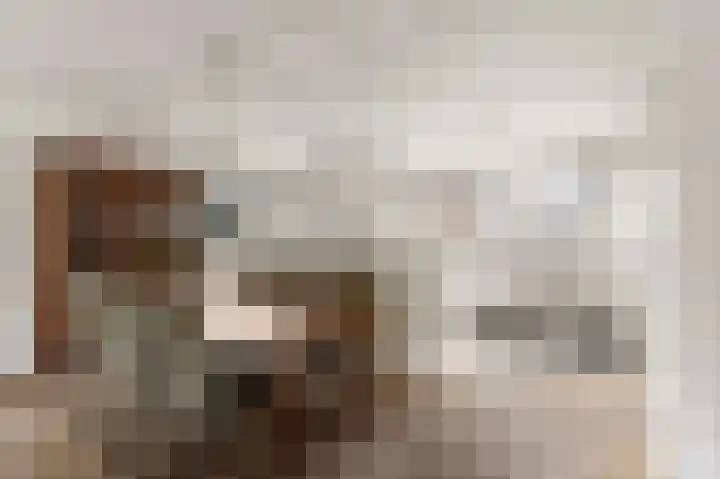 Manusveert 118 Tuitjenhorn thumbnail 11