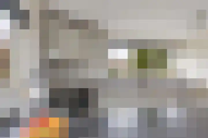Manusveert 118 Tuitjenhorn thumbnail 15
