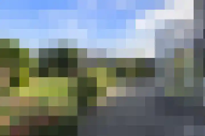 Manusveert 118 Tuitjenhorn thumbnail 27
