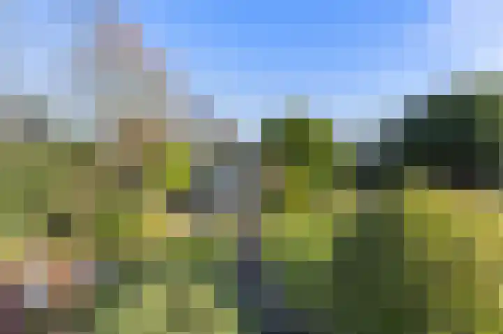 Manusveert 118 Tuitjenhorn thumbnail 28