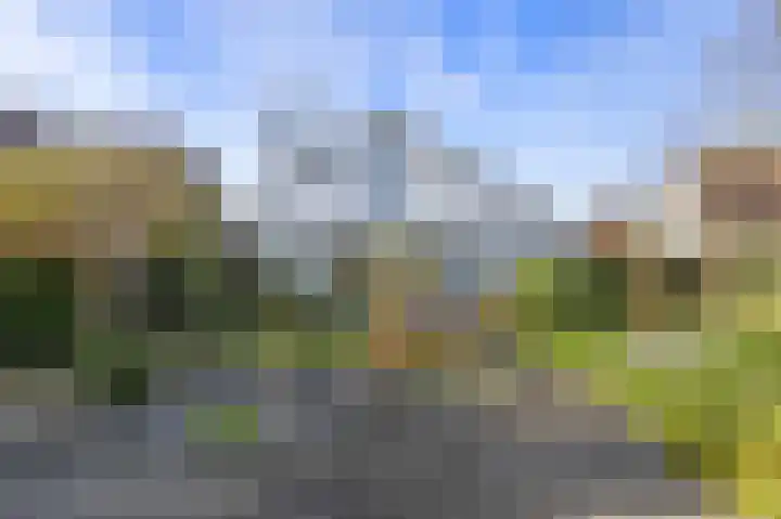 Manusveert 118 Tuitjenhorn thumbnail 29