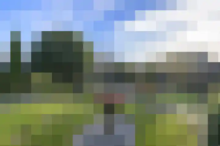 Manusveert 118 Tuitjenhorn thumbnail 30