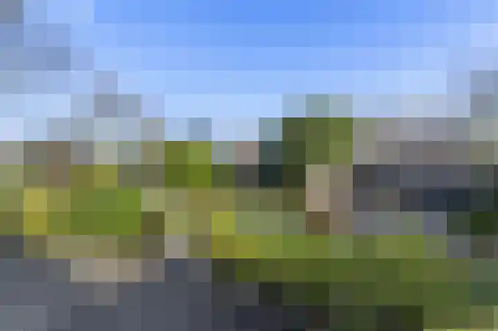 Manusveert 118 Tuitjenhorn thumbnail 31
