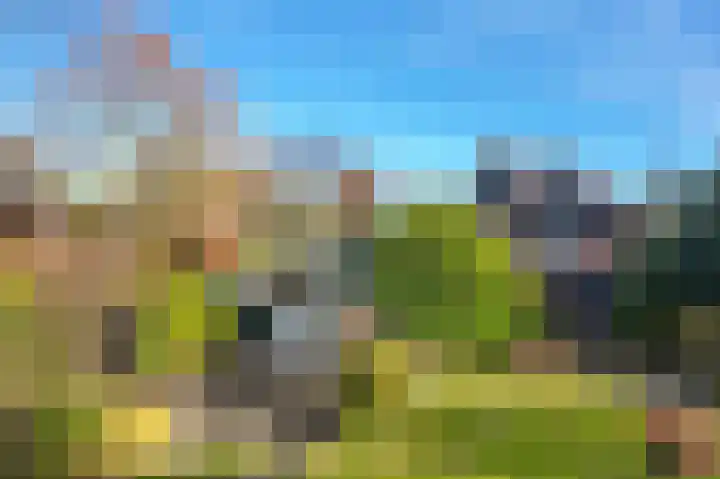 Manusveert 118 Tuitjenhorn thumbnail 32