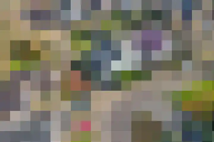 Manusveert 118 Tuitjenhorn thumbnail 33