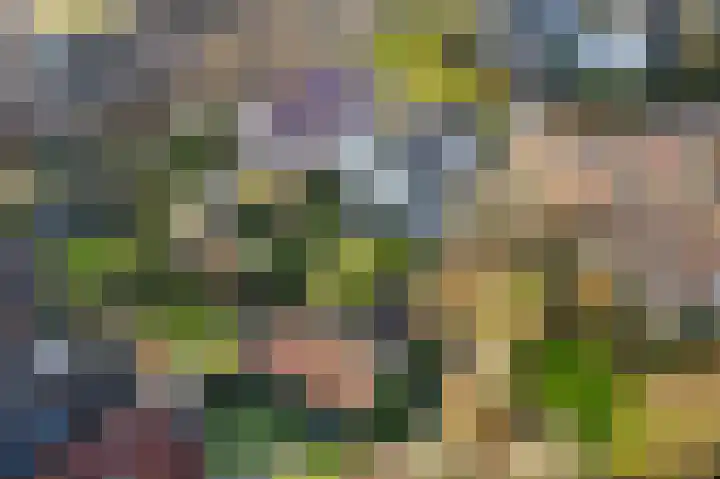 Manusveert 118 Tuitjenhorn thumbnail 34