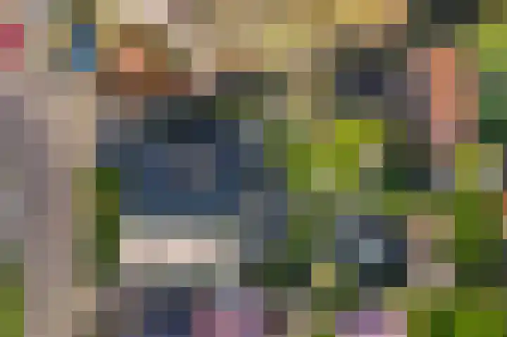Manusveert 118 Tuitjenhorn thumbnail 35
