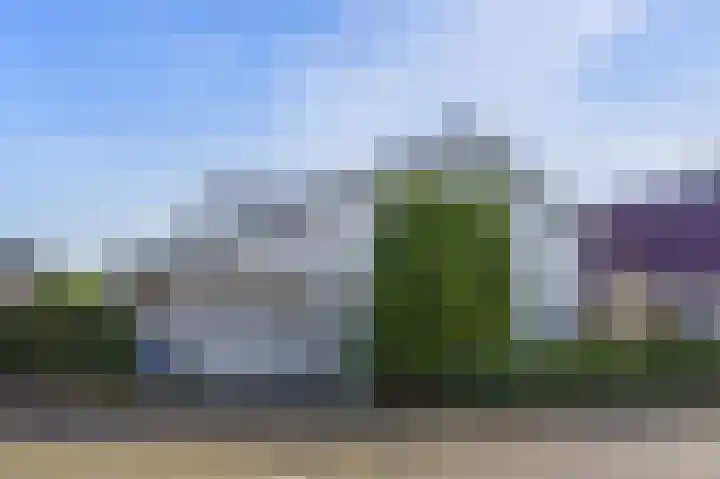 Manusveert 118 Tuitjenhorn thumbnail 37