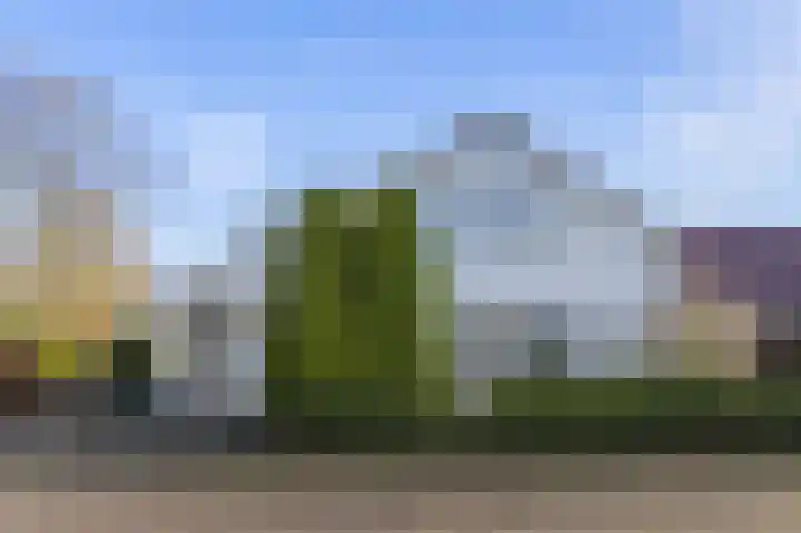 Manusveert 118 Tuitjenhorn thumbnail 4