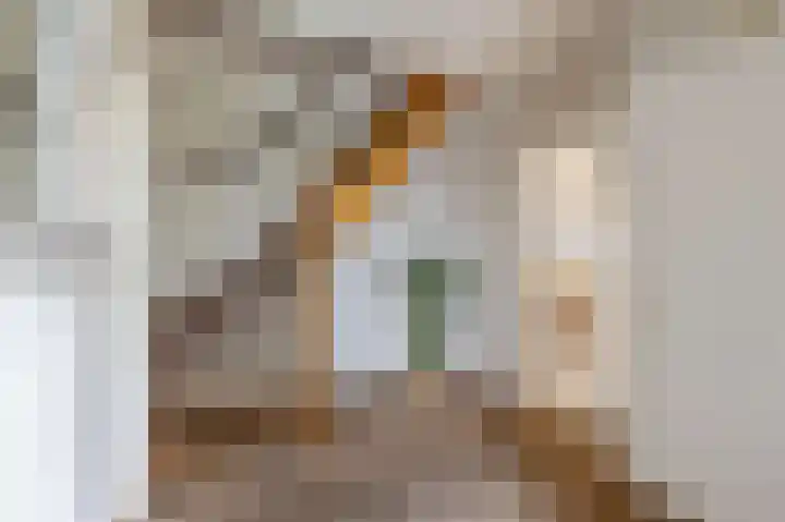 Manusveert 118 Tuitjenhorn thumbnail 7