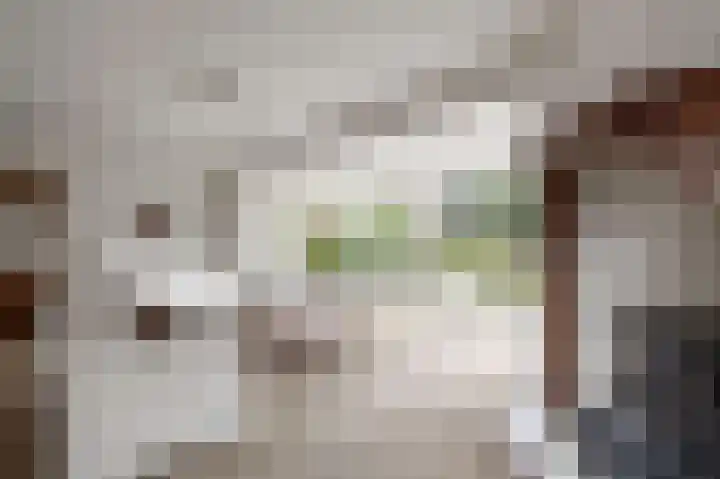 Manusveert 118 Tuitjenhorn thumbnail 8