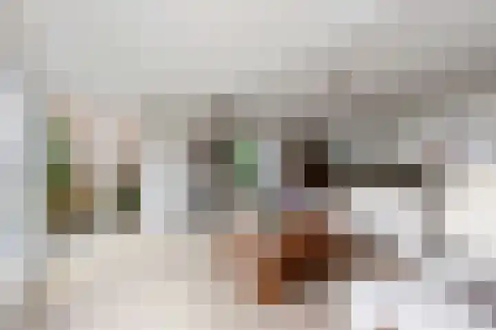 Manusveert 118 Tuitjenhorn thumbnail 9