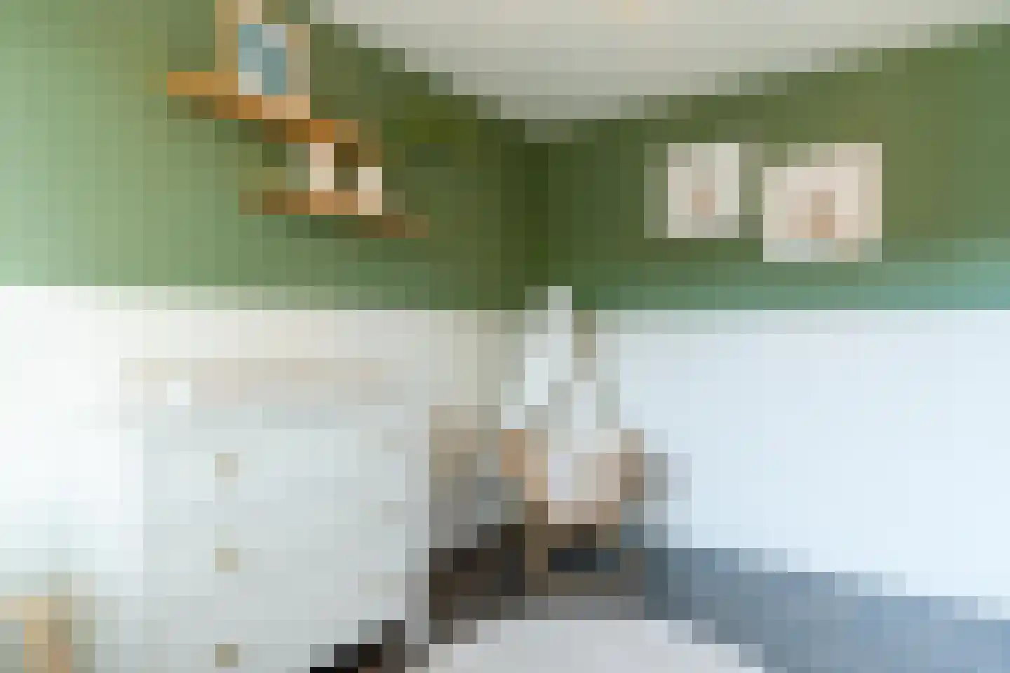 Manusveert 31 Tuitjenhorn thumbnail 20