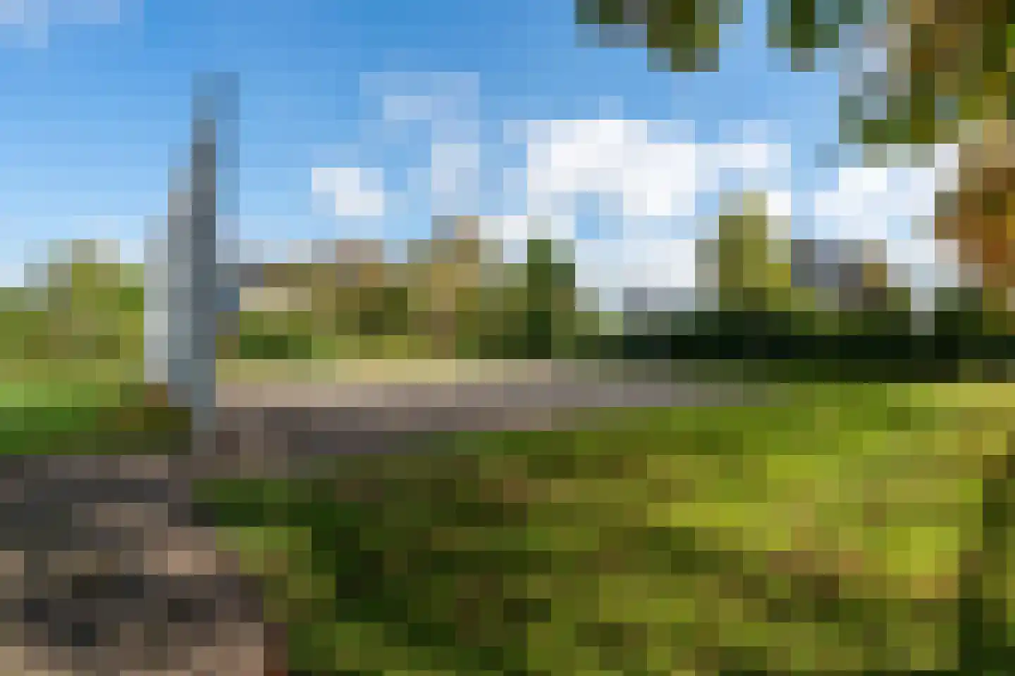 Manusveert 31 Tuitjenhorn thumbnail 32