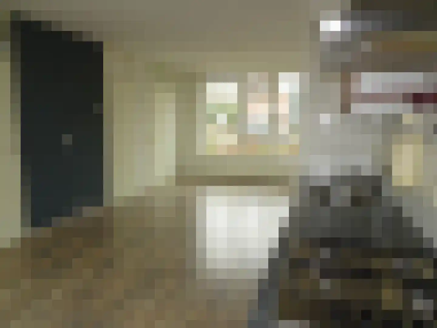 Manusveert 45 Tuitjenhorn thumbnail 10