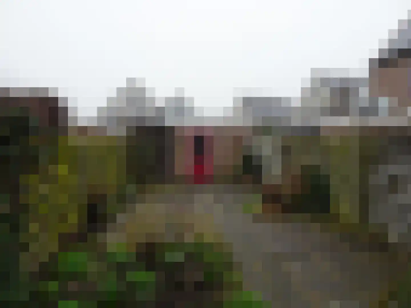 Manusveert 45 Tuitjenhorn thumbnail 19