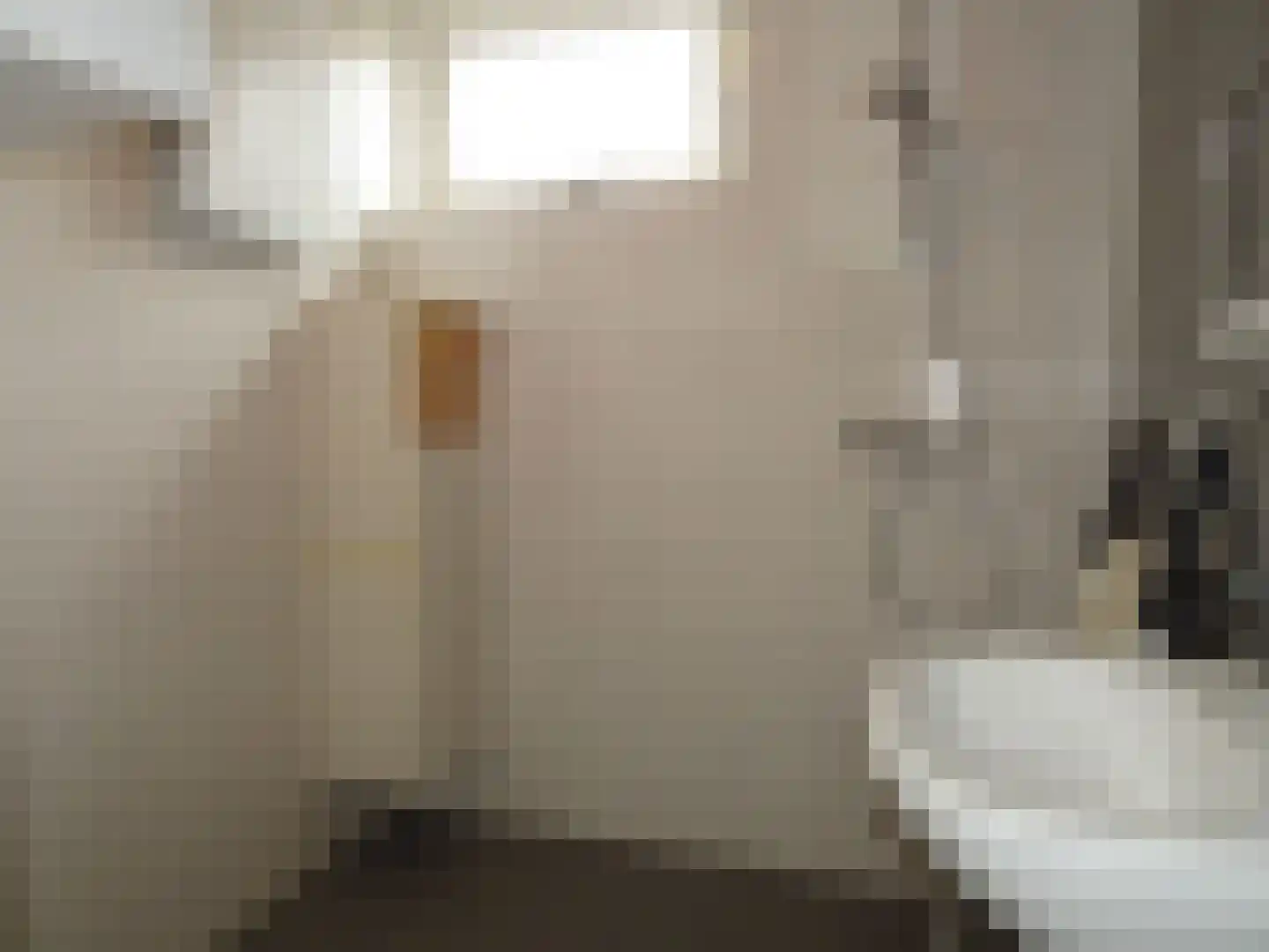 Manusveert 45 Tuitjenhorn thumbnail 4