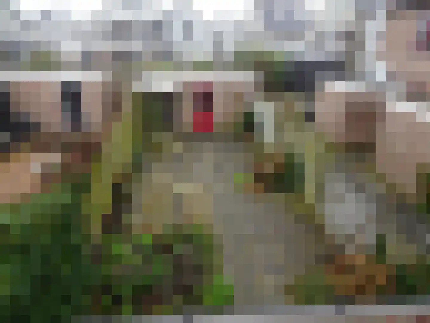Manusveert 45 Tuitjenhorn thumbnail 5