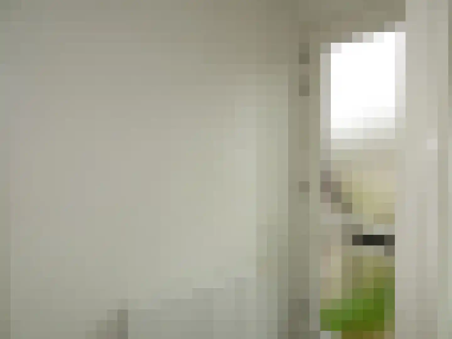 Manusveert 45 Tuitjenhorn thumbnail 7