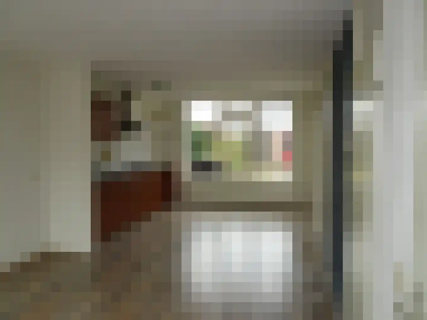 Manusveert 45 Tuitjenhorn thumbnail 8