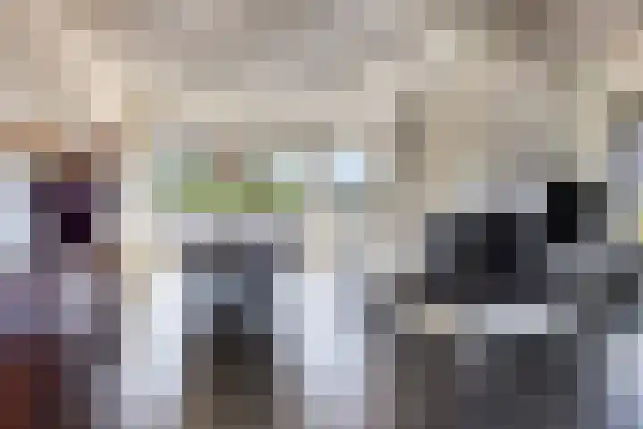 Manzardstraat 5 Eygelshoven thumbnail 10