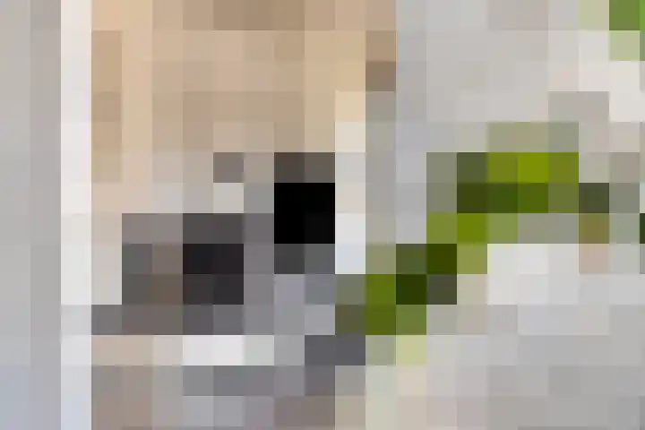 Manzardstraat 5 Eygelshoven thumbnail 11