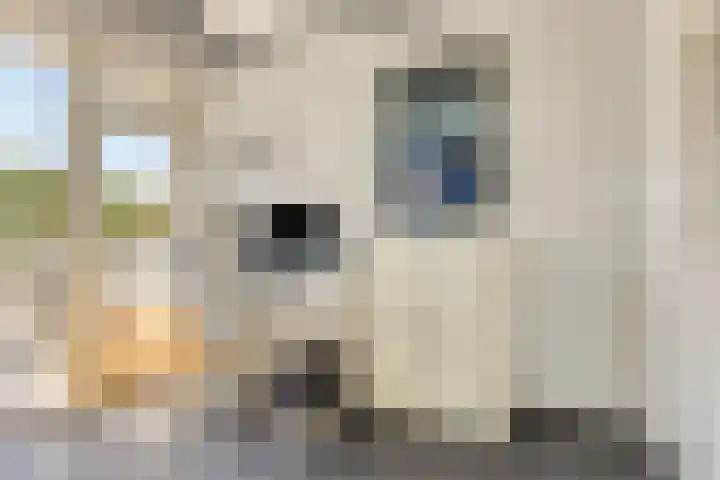Manzardstraat 5 Eygelshoven thumbnail 22