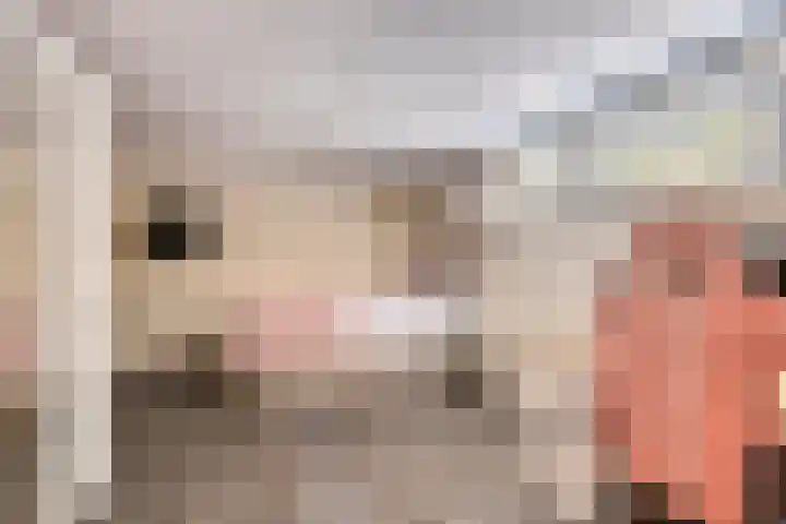Manzardstraat 5 Eygelshoven thumbnail 30