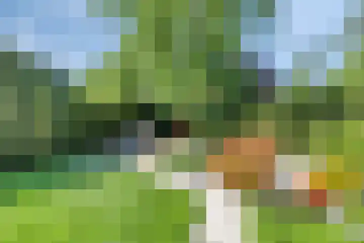 Manzardstraat 5 Eygelshoven thumbnail 41
