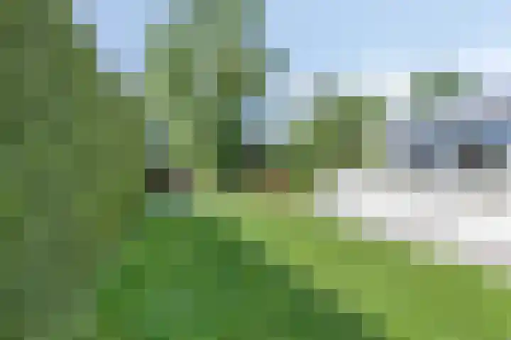 Manzardstraat 5 Eygelshoven thumbnail 43