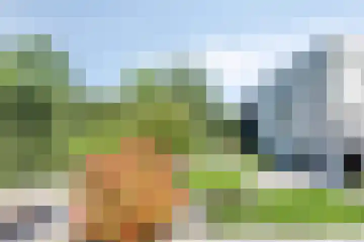 Manzardstraat 5 Eygelshoven thumbnail 44