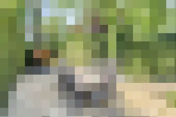 Manzardstraat 5 Eygelshoven thumbnail 45