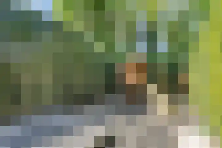 Manzardstraat 5 Eygelshoven thumbnail 47