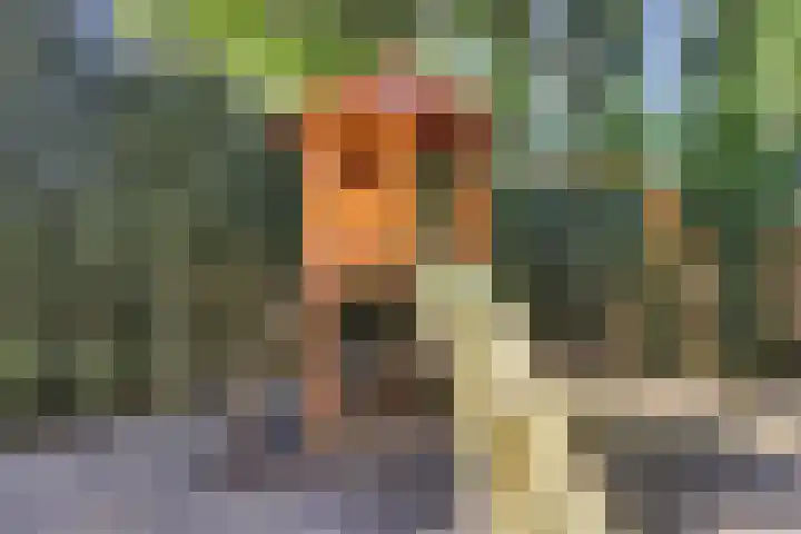 Manzardstraat 5 Eygelshoven thumbnail 48