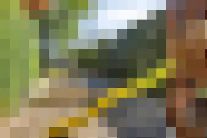 Manzardstraat 5 Eygelshoven thumbnail 49