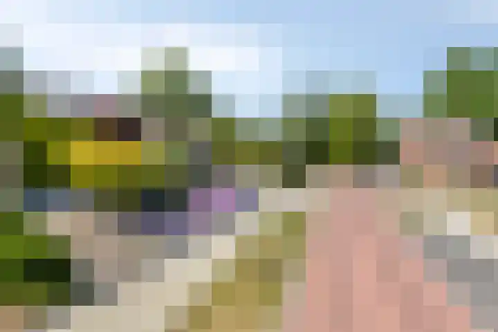 Manzardstraat 5 Eygelshoven thumbnail 57
