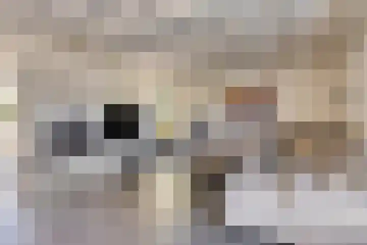 Manzardstraat 5 Eygelshoven thumbnail 6