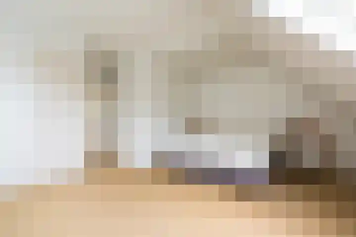 Maogien 9 Meppel thumbnail 19
