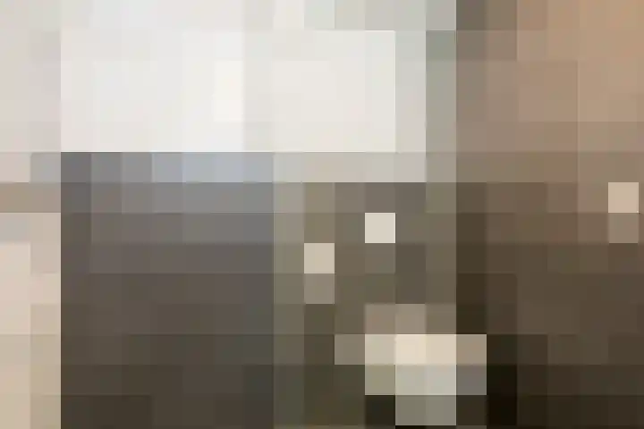 Maogien 9 Meppel thumbnail 27