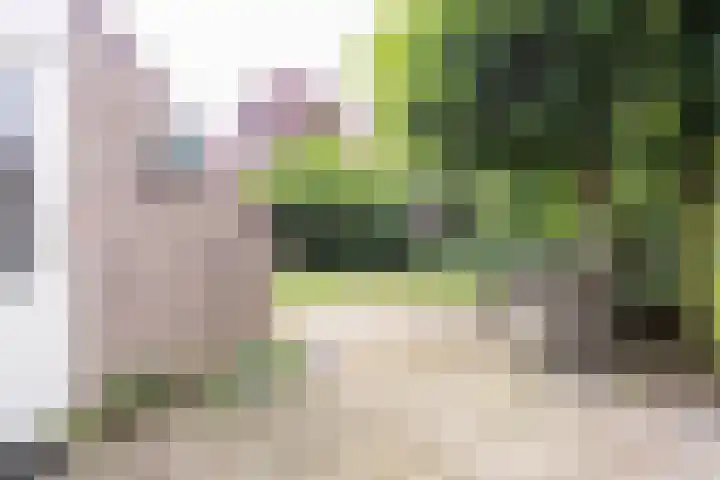 Maogien 9 Meppel thumbnail 32