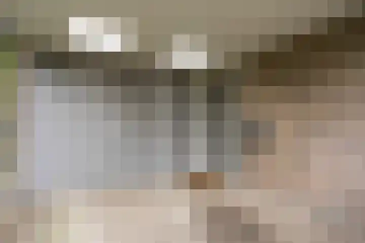 Maogien 9 Meppel thumbnail 39