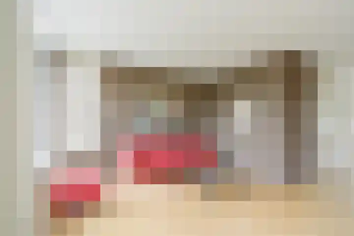 Maogien 9 Meppel thumbnail 5