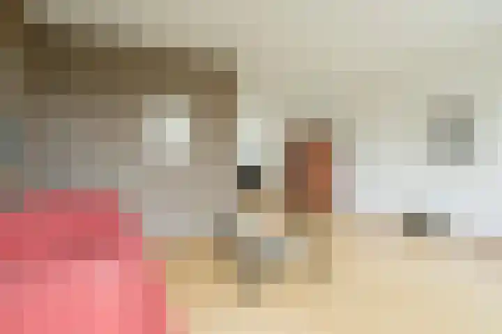 Maogien 9 Meppel thumbnail 7