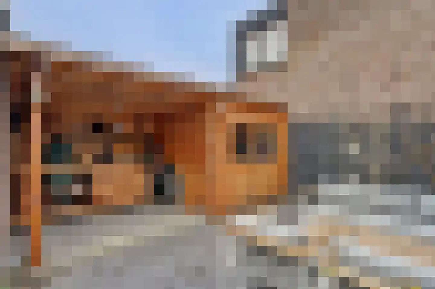 Maracas 49 Rotterdam thumbnail 30