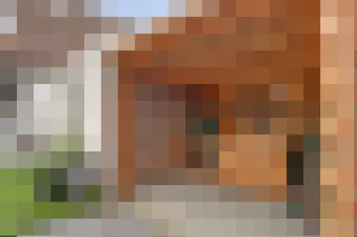 Maracas 49 Rotterdam thumbnail 31